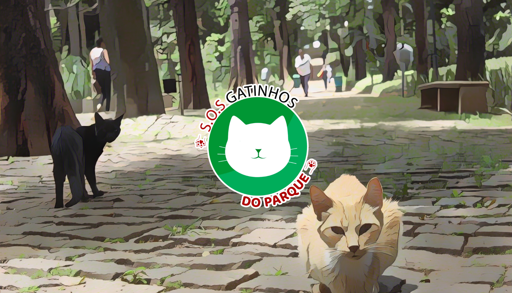Amigo Secreto Solidário: Sorteador e SOS Gatinhos do Parque se Unem em Prol dos Felinos